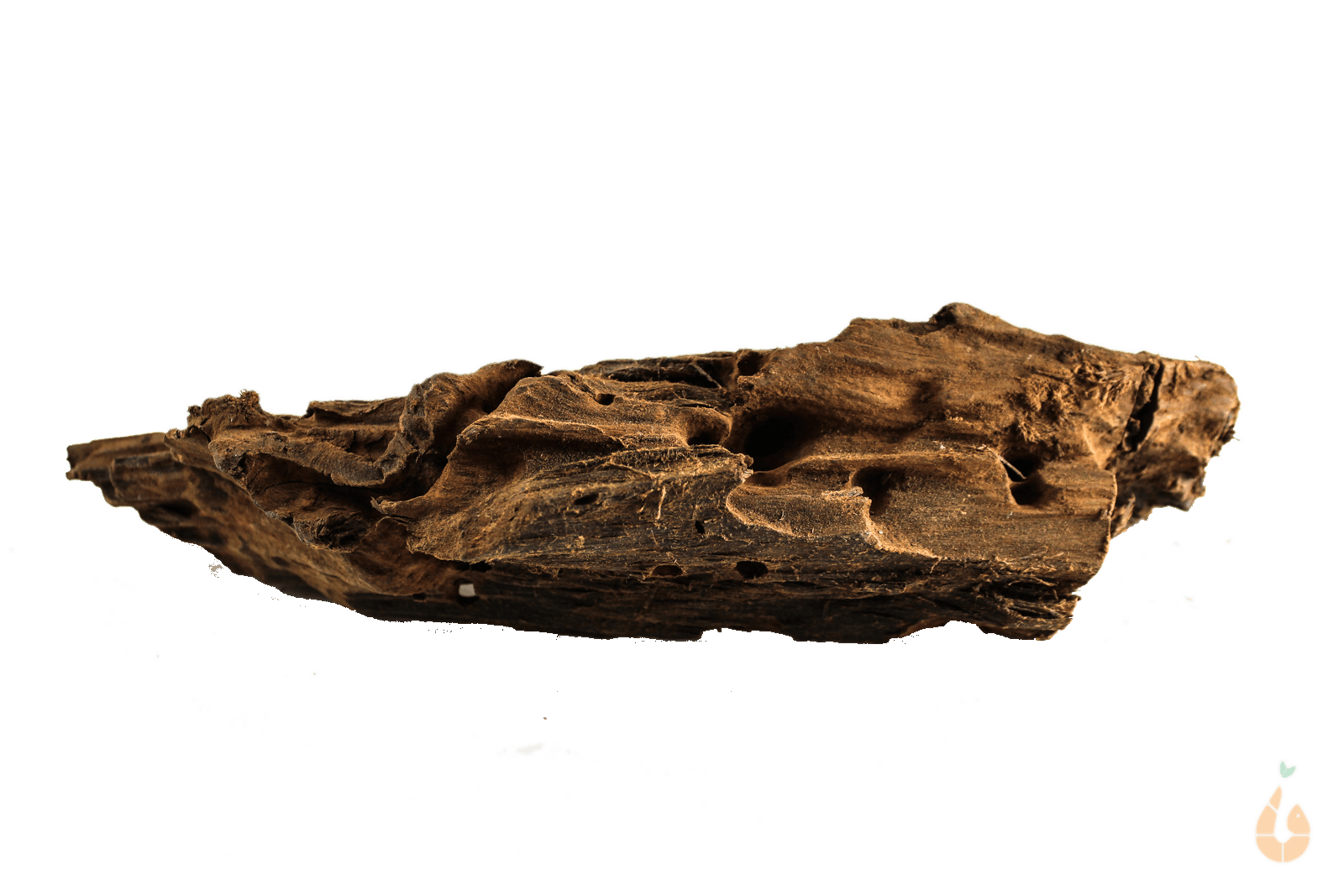 Driftwood Nr.272 | 26x7x9cm (BxHxT)