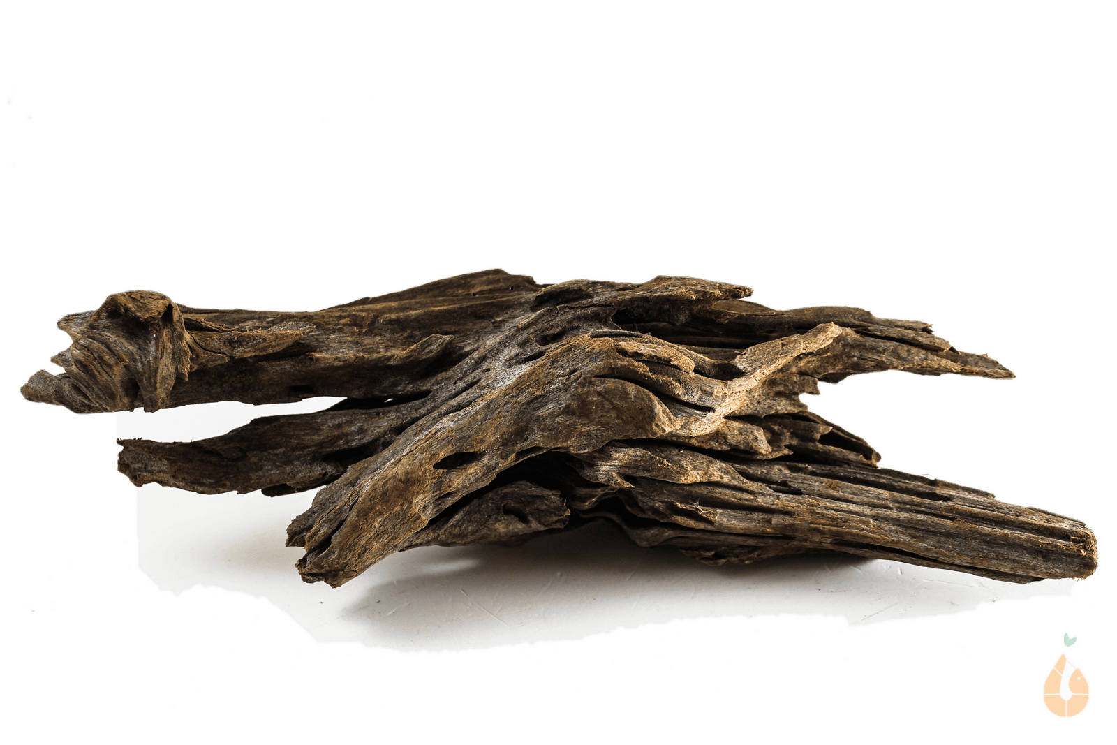 Driftwood Nr.274 | 29x10x10cm (BxHxT)