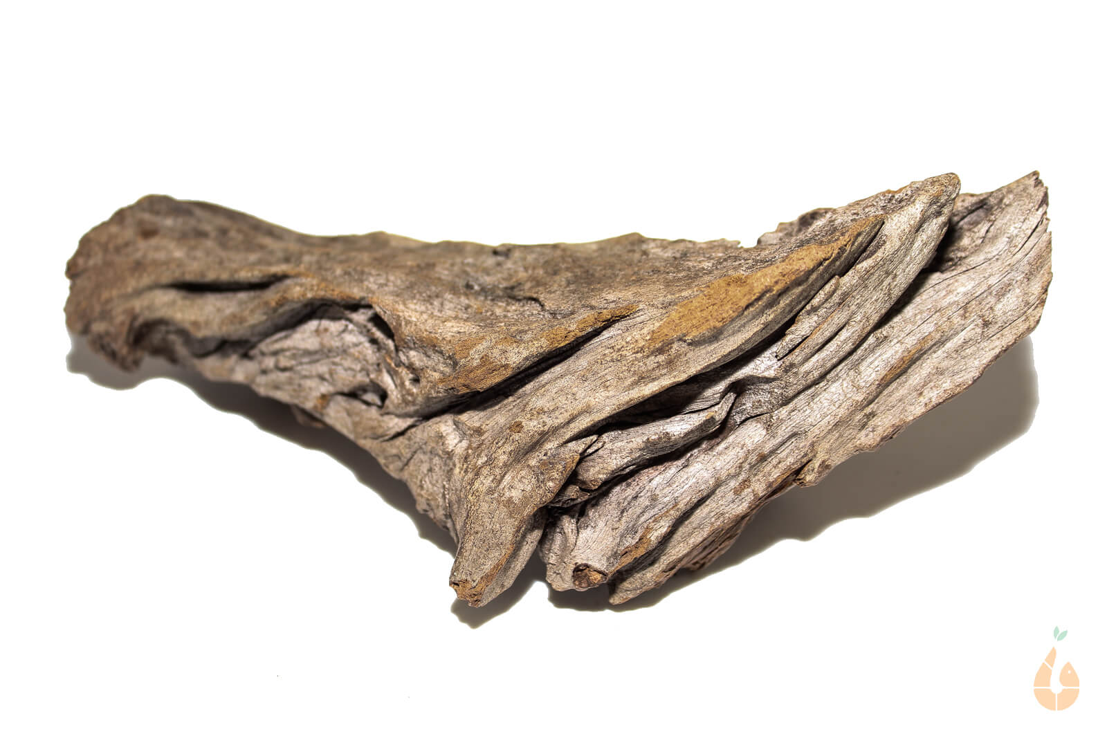 Driftwood Nr.34 | 17x6x10cm (BxHxT)
