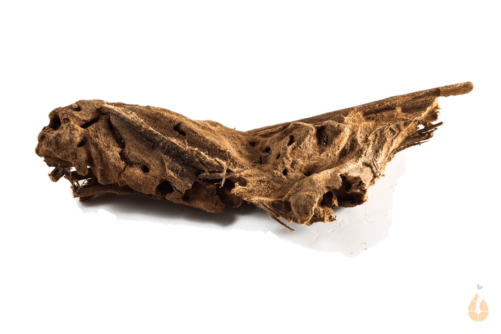 Driftwood Nr.205 | 13x3x5cm (BxHxT)