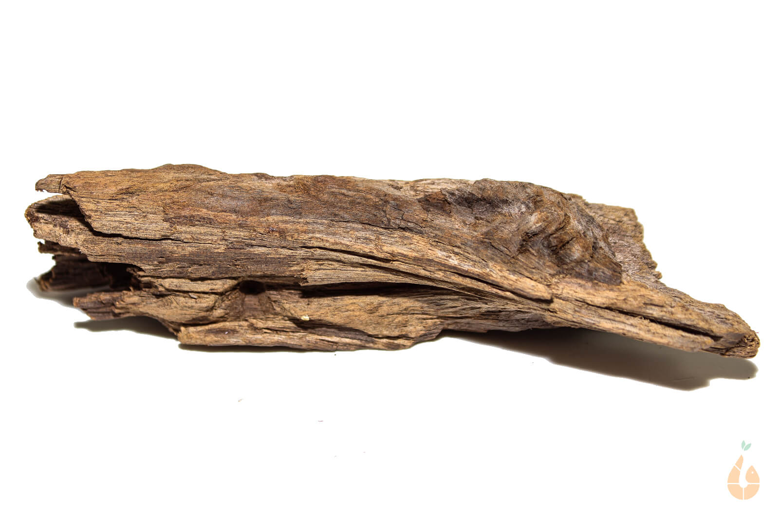 Driftwood Nr.38 | 14x4x6cm (BxHxT)