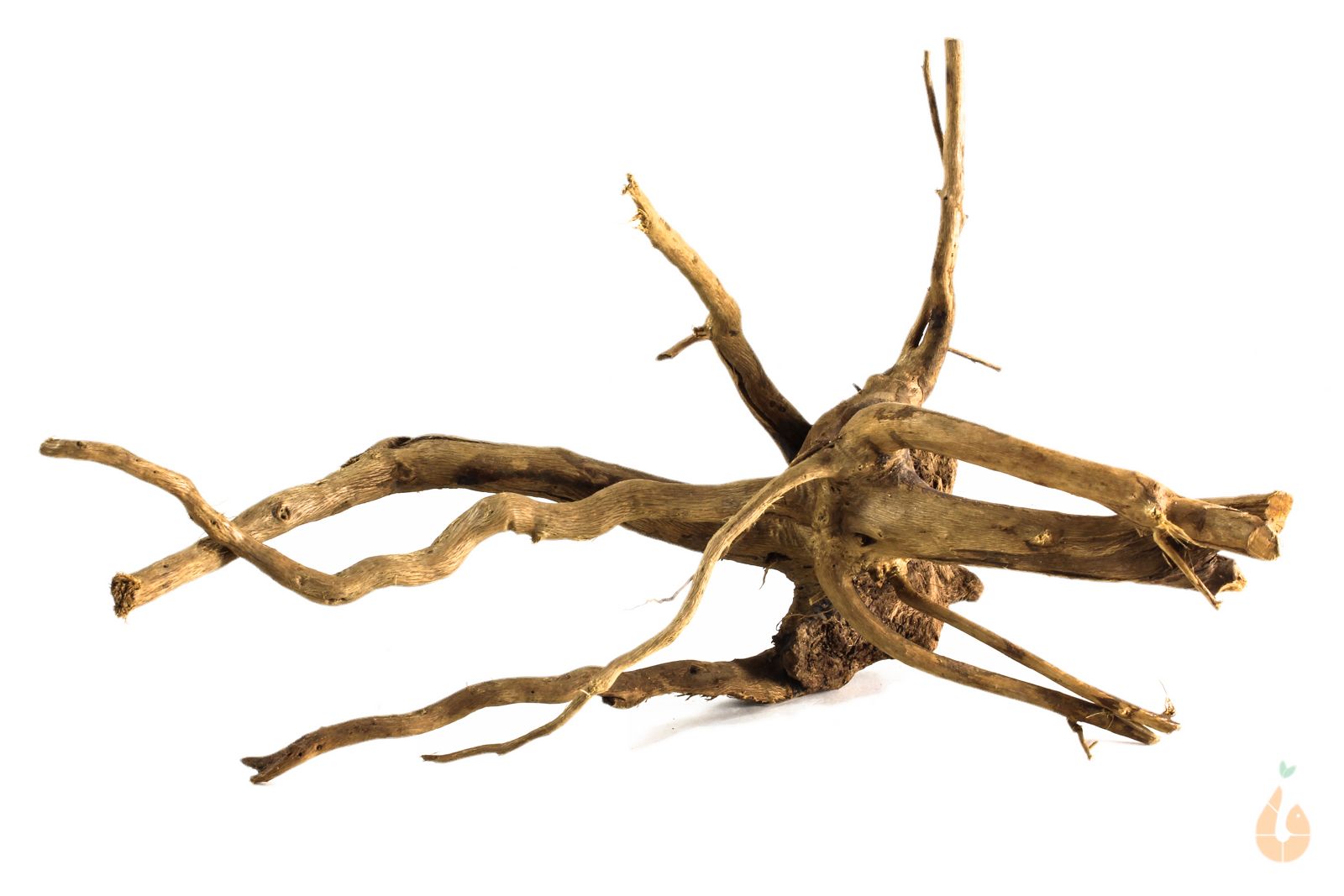 Spiderwood Nr.166 | 22x13x18cm (BxHxT)